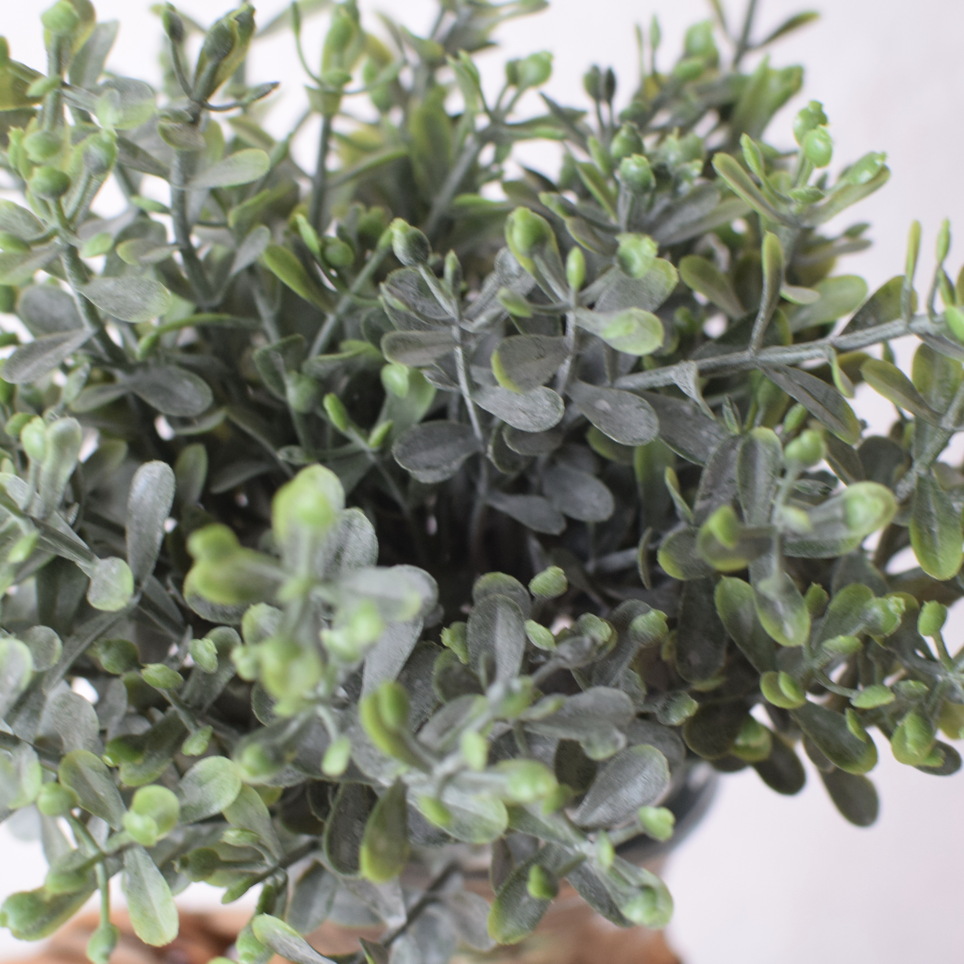 《送料無料！》枯れない 寄せ植えガーデン【木製コンテナ調】  ＊Creema限定