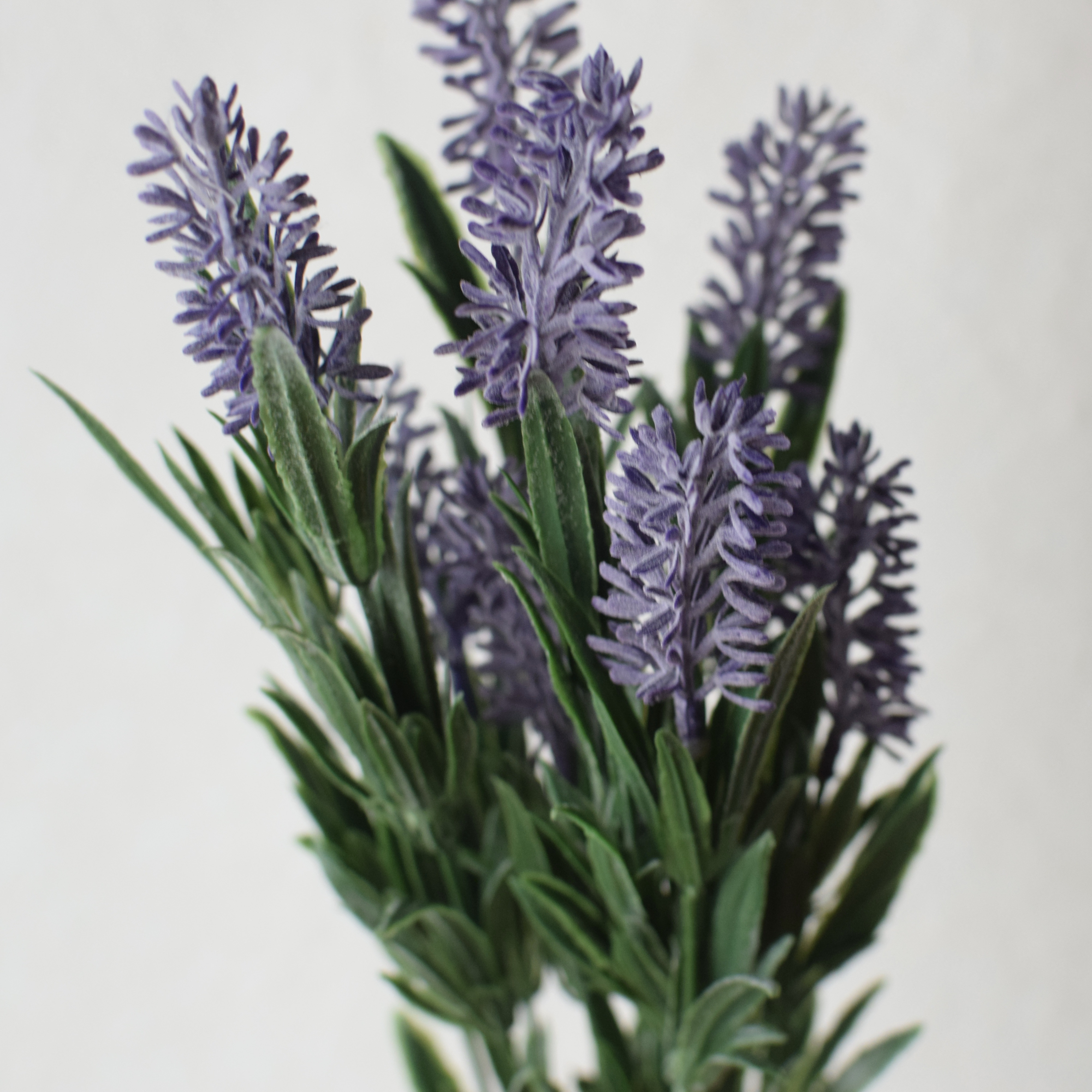 《送料無料！》枯れない 寄せ植えガーデン【木製コンテナ調】  ＊Creema限定