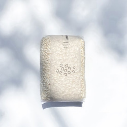 梅小路醗酵所のこうじ　白米×黄麹　300g　【オリジナルレシピ付き　腸活　美容　健康　無添加】 1枚目の画像