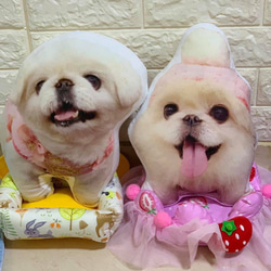 Furchin猫犬プリント両面タイトスカート Furchin猫犬プリント両面タイトスカート