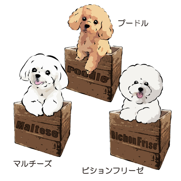 【受注生産】箱入り犬Tシャツ　コーギー、柴犬、パグ、ペキニーズ、チワワ、ラブラドール、シェルティー他 6枚目の画像