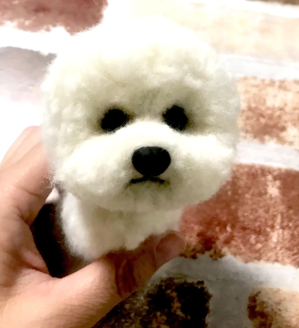 『受注製作』羊毛フェルト　犬　ビジョンフリーゼ　ハンドメイド　ぬいぐるみ　ペットロス　うちの子 2枚目の画像