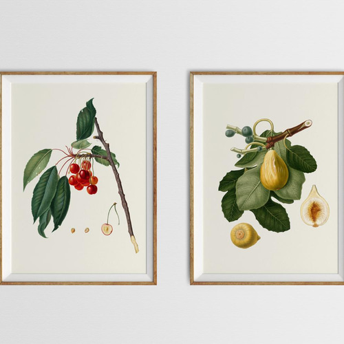 イタリア　額　木製　絵画　さくらんぼ　ヴィンテージ イタリア 額 木製 絵画 さくらんぼ ヴィンテージ