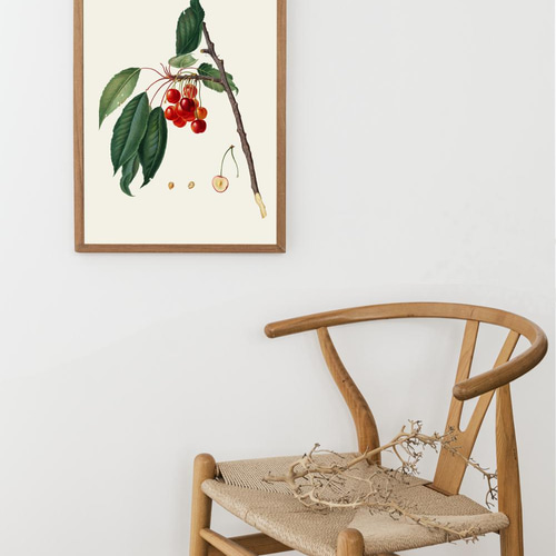 ◇フランスアンティーク｜希少なフランス絵画「さくらんぼ」