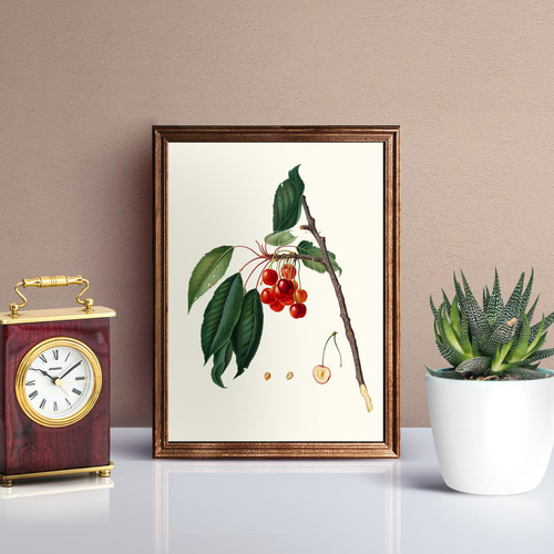 NO.116】さくらんぼアートポスター☆サクランボ果物赤い実ボタニカル