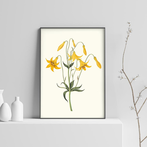 NO.117】黄色い花のフラワーアートポスター☆ナチュラルインテリア春色