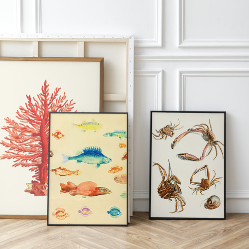 NO.118】色々な蟹のイラストアートポスター☆個性派インテリア☆カニ海