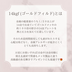 《5月誕生石》エメラルドのスライスカット一粒デザインフックピアス/イヤリング　14kgf 金属アレルギー対応　誕生日にも 12枚目の画像