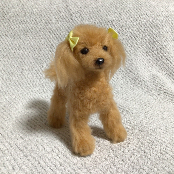 羊毛フェルト　プードル　アプリコット　犬　いぬ　ハンドメイド　イヌ 2枚目の画像