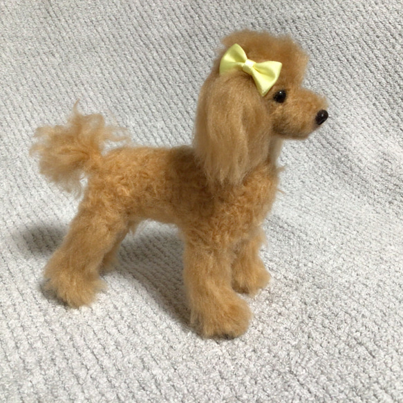 羊毛フェルト　プードル　アプリコット　犬　いぬ　ハンドメイド　イヌ 7枚目の画像