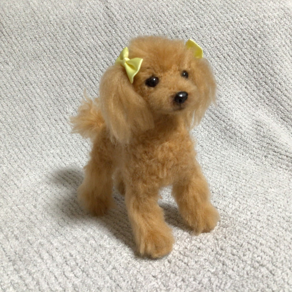 羊毛フェルト　プードル　アプリコット　犬　いぬ　ハンドメイド　イヌ 4枚目の画像