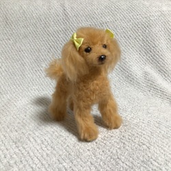 羊毛フェルト　プードル　アプリコット　犬　いぬ　ハンドメイド　イヌ 8枚目の画像