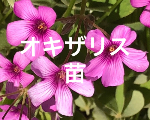 a7266b14780d4b2a2cea472d13497a