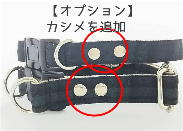 モロッカンプチ（全５色）犬用首輪（１０mm／１５ｍｍ／２０ｍｍ幅）　オーダーメイド　小型犬　中型犬　子犬　おしゃれ 10枚目の画像
