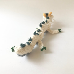 あみぐるみ 白龍 11枚目の画像