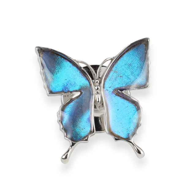 本物の蝶の羽　アゲハ蝶デザイン　ラペルピン　ゼフィリティスモルフォ[zps018r-zephy]