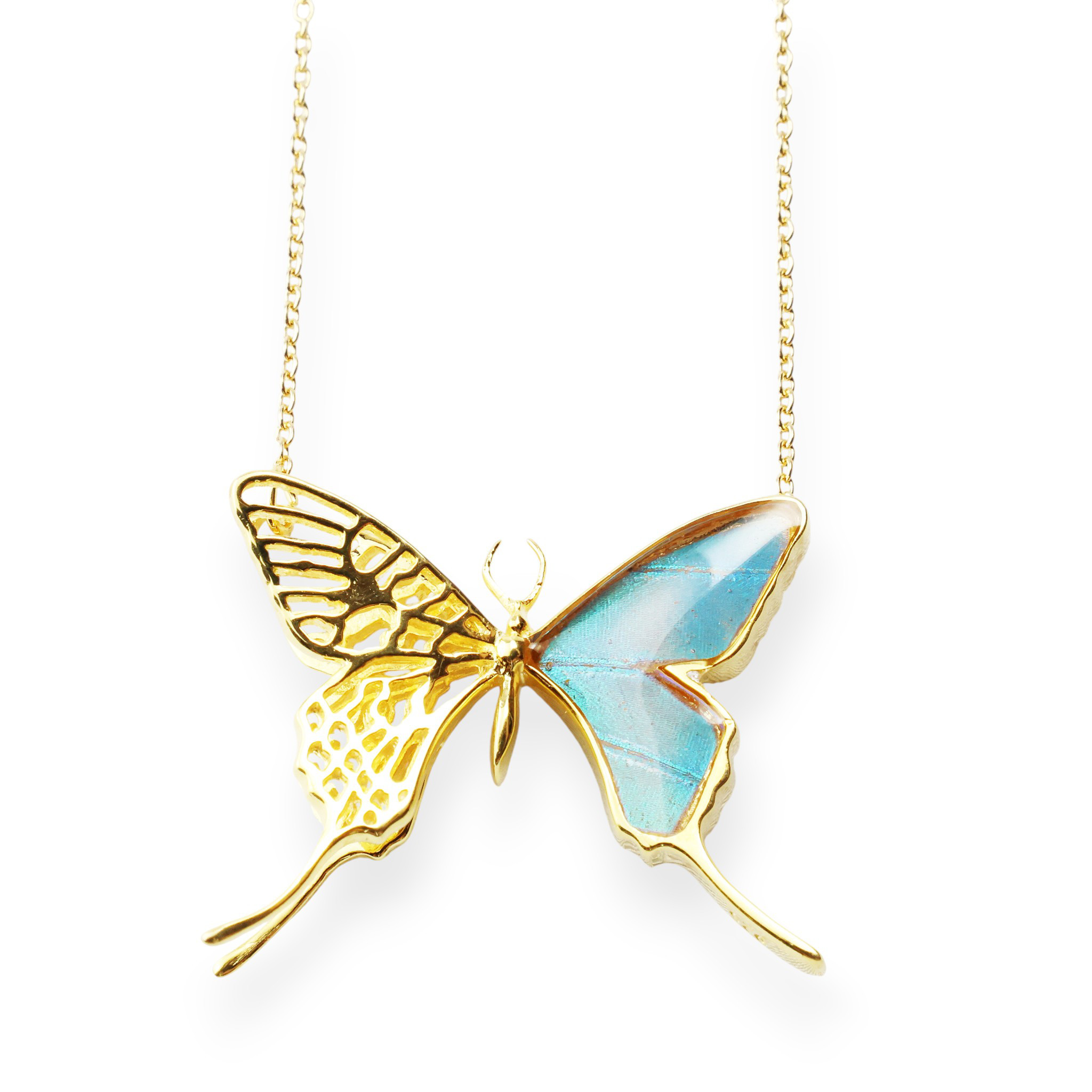 本物の蝶の羽　透かしデザインアゲハ蝶ネックレス　ゼフィリティスモルフォ　[zps027g-zep]