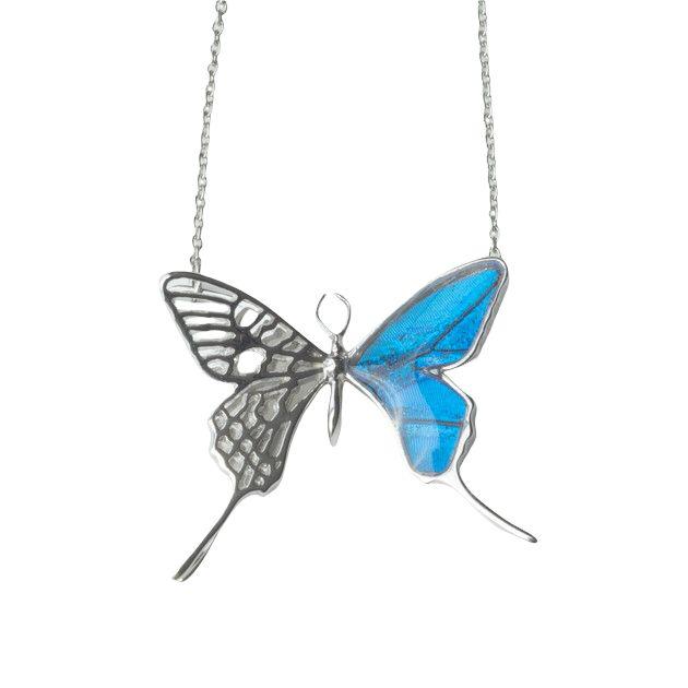 本物の蝶の羽　透かしデザインアゲハ蝶ネックレス　カキカモルフォ　[zps027r-cac]