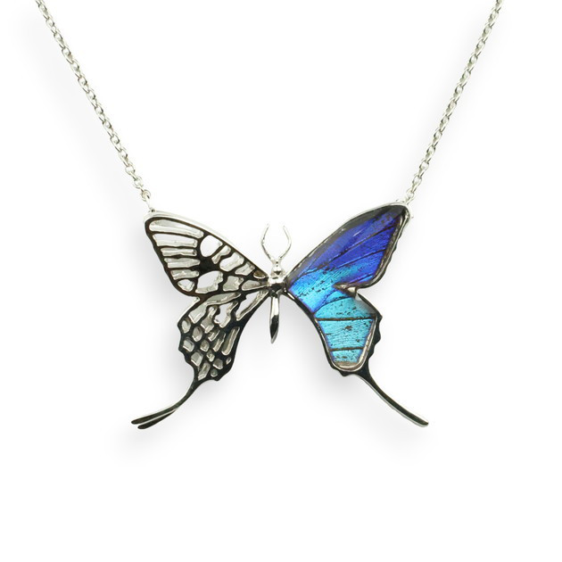 本物の蝶の羽　透かしデザインアゲハ蝶ネックレス　タミラスムラサキシジミ　[zps027r-thamy]