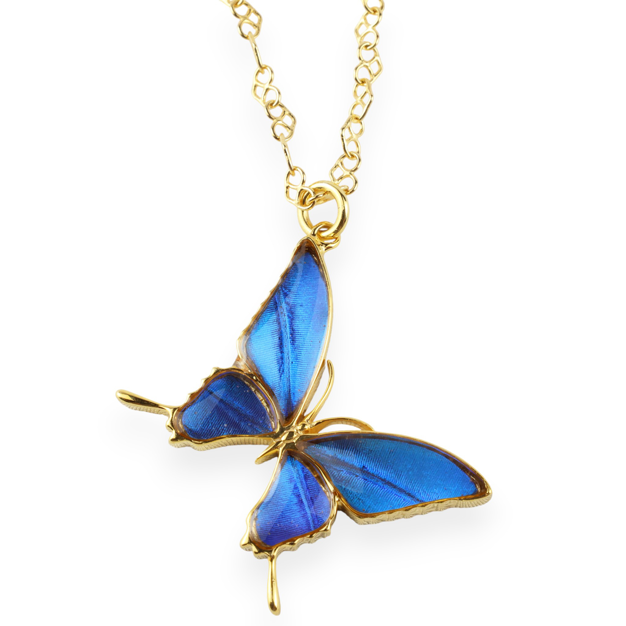 本物の蝶の羽　蝶ネックレス　カキカモルフォ　[zps028g-cac]