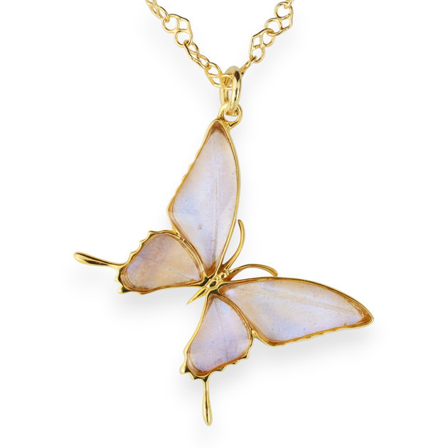 本物の蝶の羽　蝶ネックレス　スルコウスキーモルフォ　[zps028g-sul]