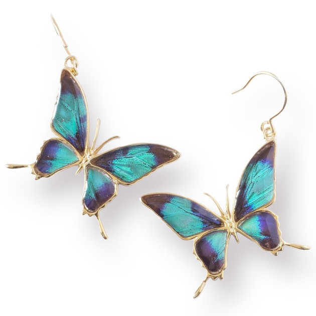 本物の蝶の羽　蝶ピアス　片耳販売　タスキアゲハ　ドクソコパチェルビナ　[zps029g-gr]