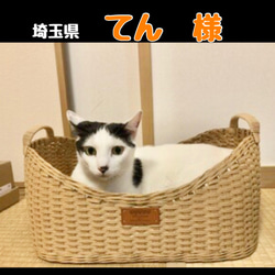 ❣️抜け毛対策に❣️持ち手付きラウンドバスケット　猫カゴ　 1枚目の画像