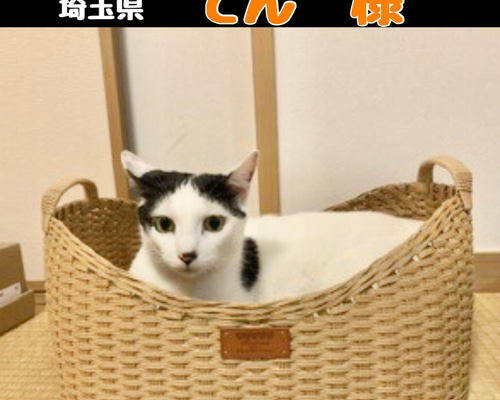 fdfe696eedfc493aefe83705d0ed1b