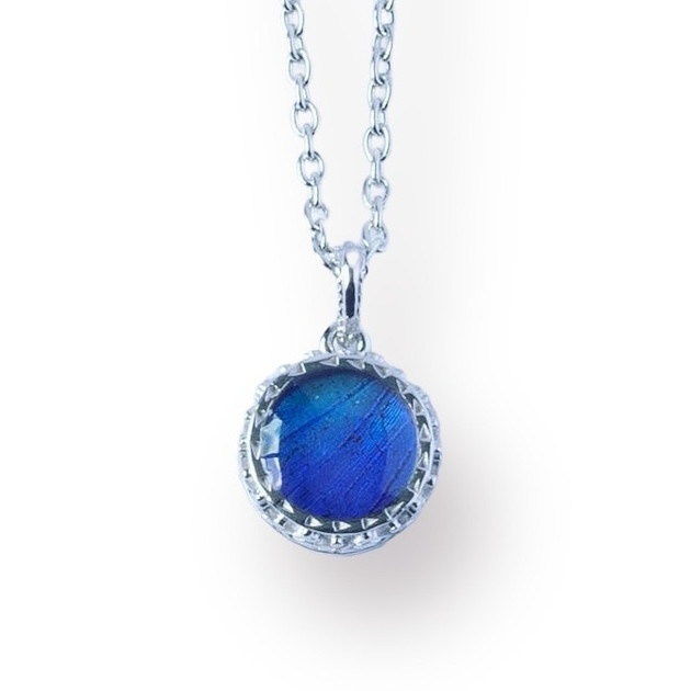 本物の蝶の羽　ゴシック調ラウンドネックレス　タミラスムラサキシジミ　[zps030r-thamy]