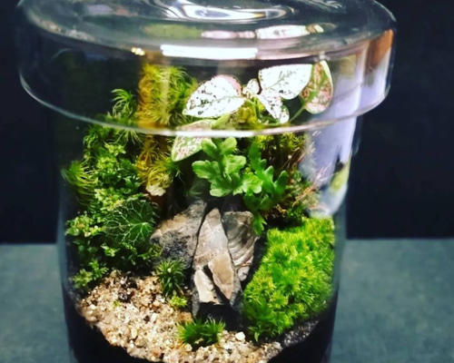 cf58747df7117338cb2590e4468a4a