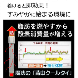 中性脂肪を下げる 魔法のダイエット 褐色脂肪細胞を刺激するだけ 自宅 運動 暮らしに 魔法のダイエット 背中クールタイ 14枚目の画像