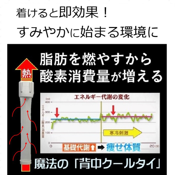 中性脂肪を下げる 魔法のダイエット 褐色脂肪細胞を刺激するだけ 自宅 運動 暮らしに 魔法のダイエット 背中クールタイ 14枚目の画像