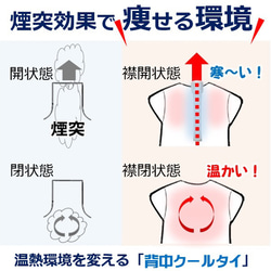 中性脂肪を下げる 魔法のダイエット 褐色脂肪細胞を刺激するだけ 自宅 運動 暮らしに 魔法のダイエット 背中クールタイ 11枚目の画像