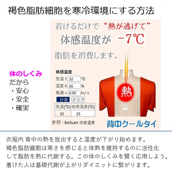 中性脂肪を下げる 魔法のダイエット 褐色脂肪細胞を刺激するだけ 自宅 運動 暮らしに 魔法のダイエット 背中クールタイ 12枚目の画像