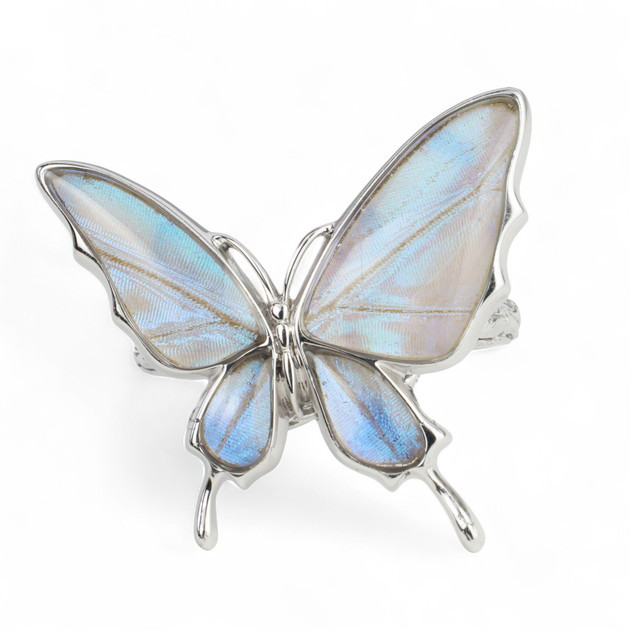 本物の蝶の羽　舞蝶リング　フリーサイズ　スルコウスキーモルフォ　[zps033r-sul]