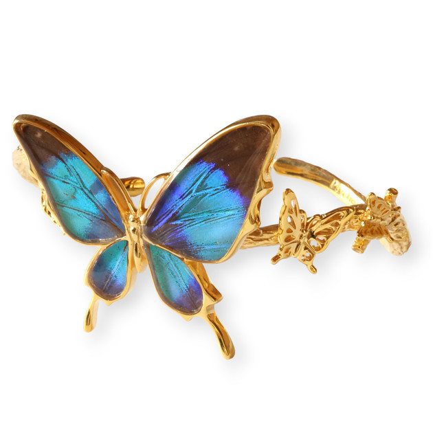 本物の蝶の羽　舞蝶バングル　ドクソコパチェルビナ　[zps034g-gr]バングル・リストバンド