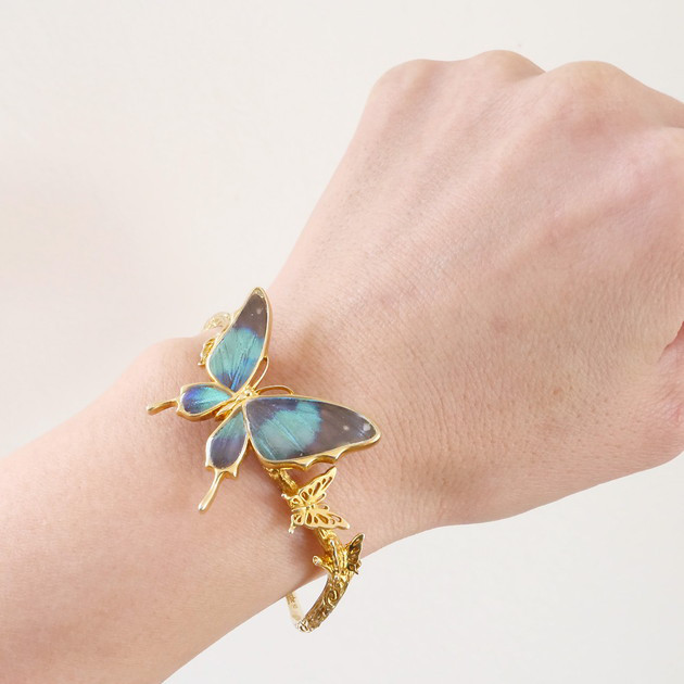 本物の蝶の羽　舞蝶バングル　ドクソコパチェルビナ　[zps034g-gr]