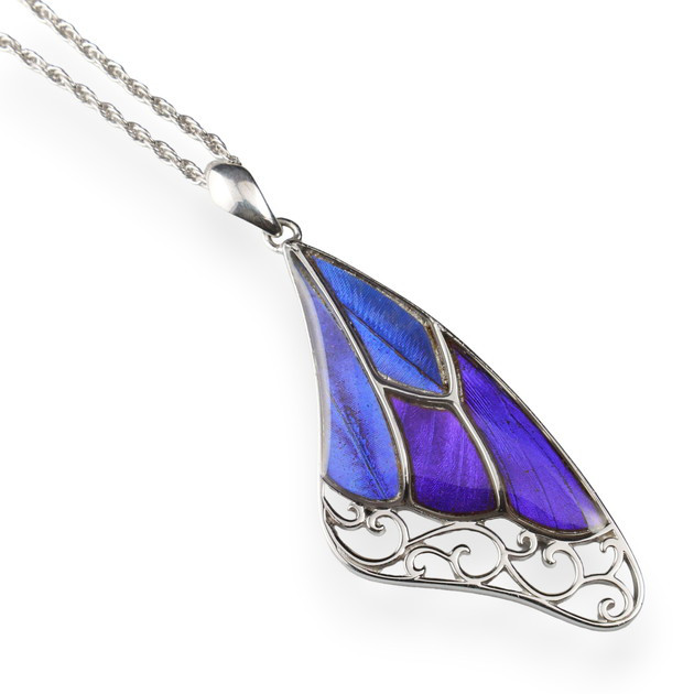 本物の蝶の羽　上翅デザインネックレス 　カキカモルフォ / ムラサキツバメ　[zps039r-cp]