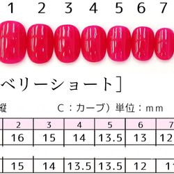 【サイズオーダー】ネイルチップ　ワンカラーネイル　一色　10個入り 6枚目の画像