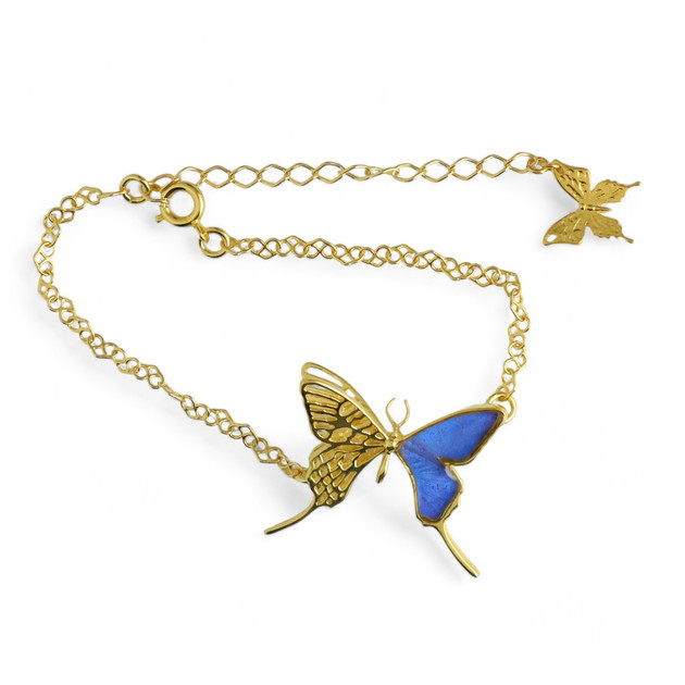 本物の蝶の羽　透かしの二枚羽  蝶ブレスレット　カキカモルフォ　[zps061g-cac]