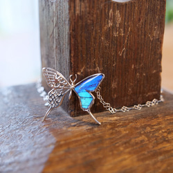本物の蝶の羽　透かしの二枚羽  蝶ブレスレット　タミラスムラサキシジミ　[zps061r-thamy] 2枚目の画像