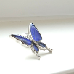 本物の蝶の羽　舞い飛ぶアゲハ蝶デザイン バタフライラペルピン　カキカモルフォ　[zps077r-cac] 2枚目の画像