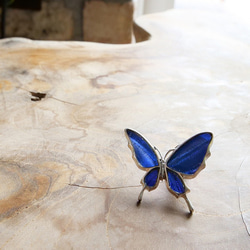 本物の蝶の羽　舞い飛ぶアゲハ蝶デザイン バタフライラペルピン　カキカモルフォ　[zps077r-cac] 4枚目の画像
