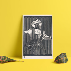 【NO.130】オランダカイウのモノクロアートポスター☆カラーリリー白黒ボタニカルレトロモダンおしゃれA1B5B2B1 5枚目の画像