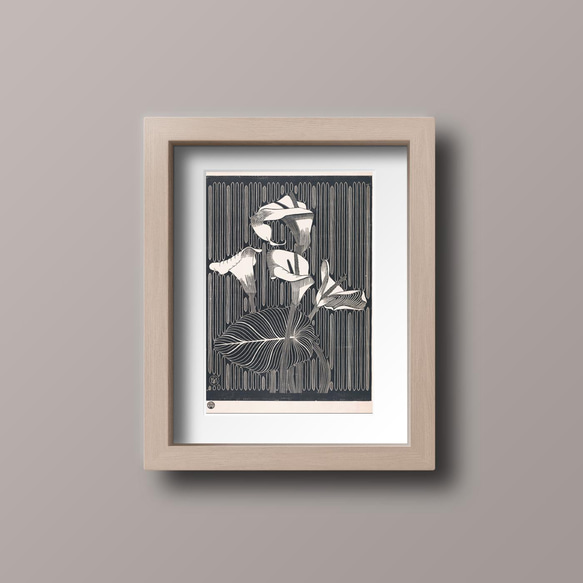 【NO.130】オランダカイウのモノクロアートポスター☆カラーリリー白黒ボタニカルレトロモダンおしゃれA1B5B2B1 10枚目の画像