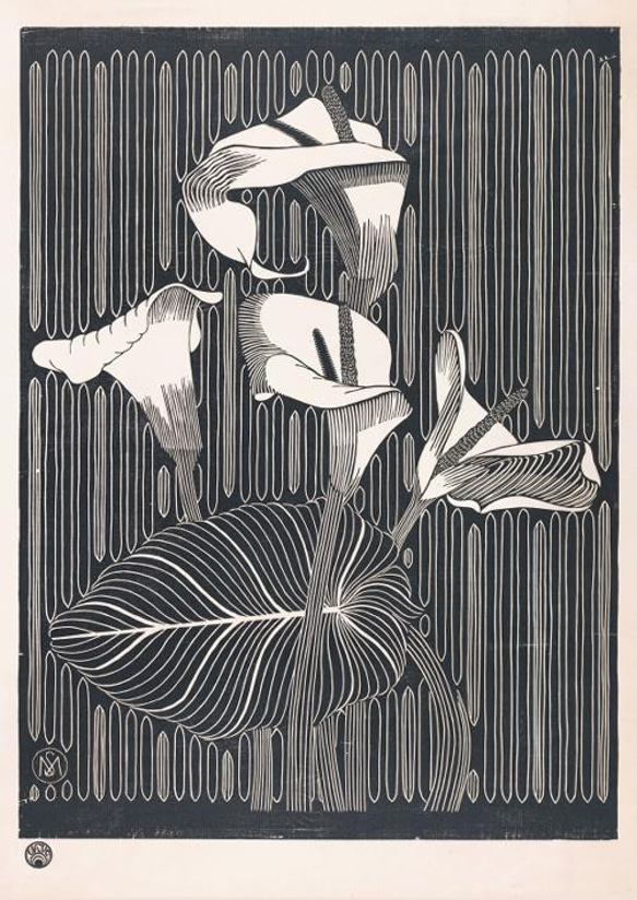 【NO.130】オランダカイウのモノクロアートポスター☆カラーリリー白黒ボタニカルレトロモダンおしゃれA1B5B2B1 2枚目の画像