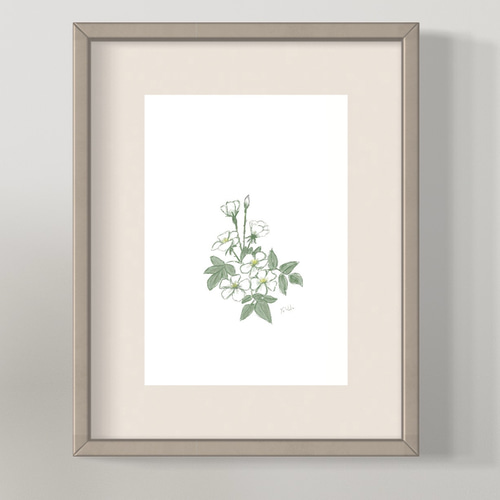 4月28日の誕生花 ノイバラ 観ていると素敵な詩が作れそうです