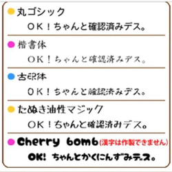 最長交貨時間：3週 [客製化/180種設計可供選擇] 穿透印章 | 無需墨水 | 可快遞 | Brother 姓名印章 第5張的照片