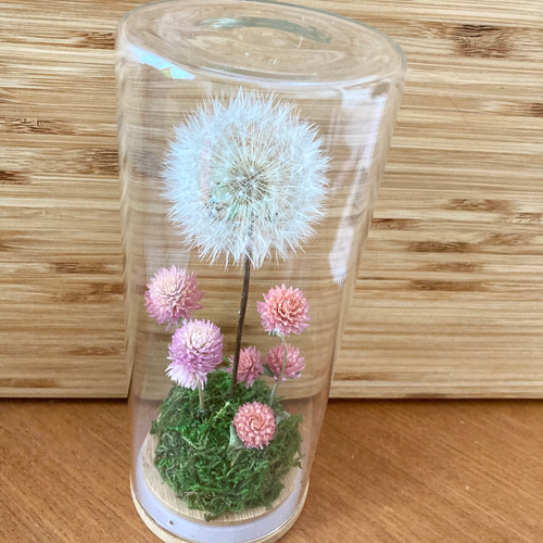 メディシンボトルフラワー・たんぽぽ綿毛ホワイト×くすみピンク リリ 