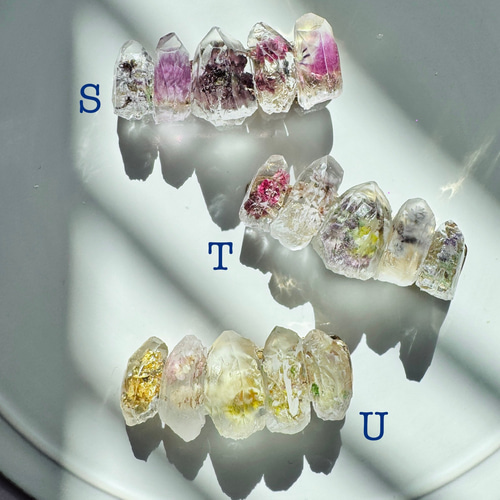 10点新色追加しました！再販×13♡選べる鉱物植物標本 ドライフラワーの